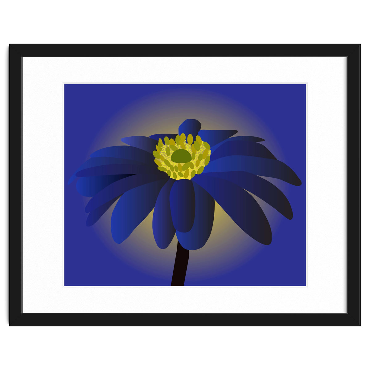 Anemone Blanda Flower Art