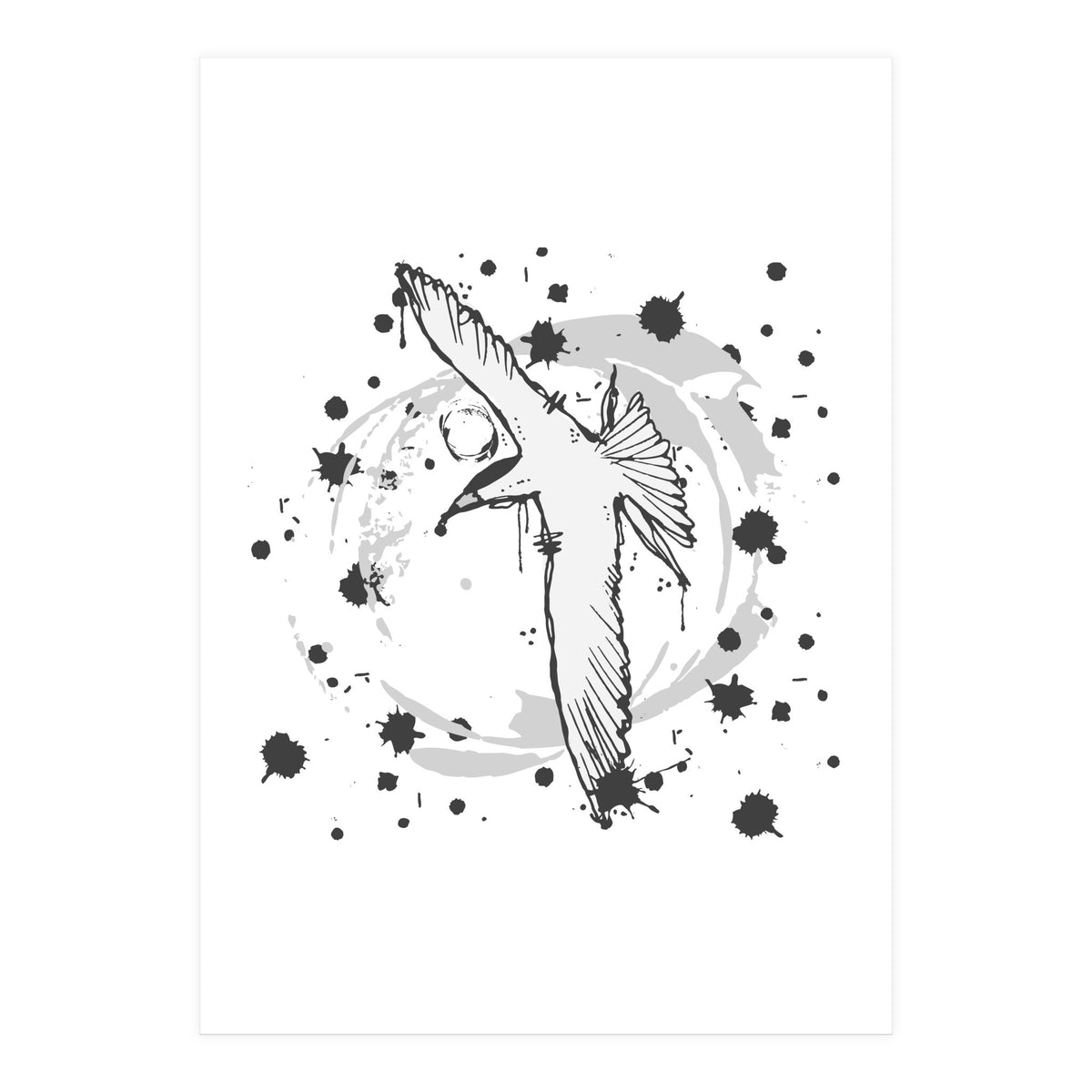 Fairy Tern Sketch (Print Only)