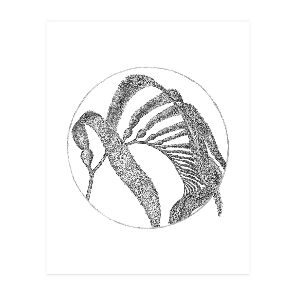 P.O. Blue Carbon (Print Only)