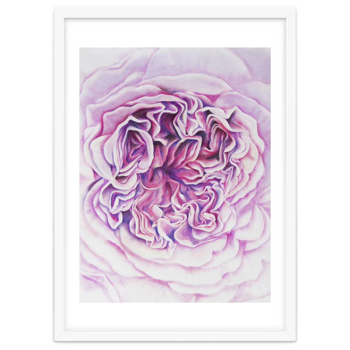 A Rose Is A Rose Std