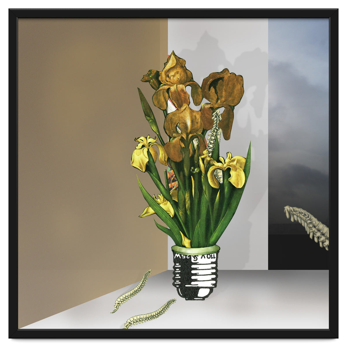 Das Licht Der Pflanze