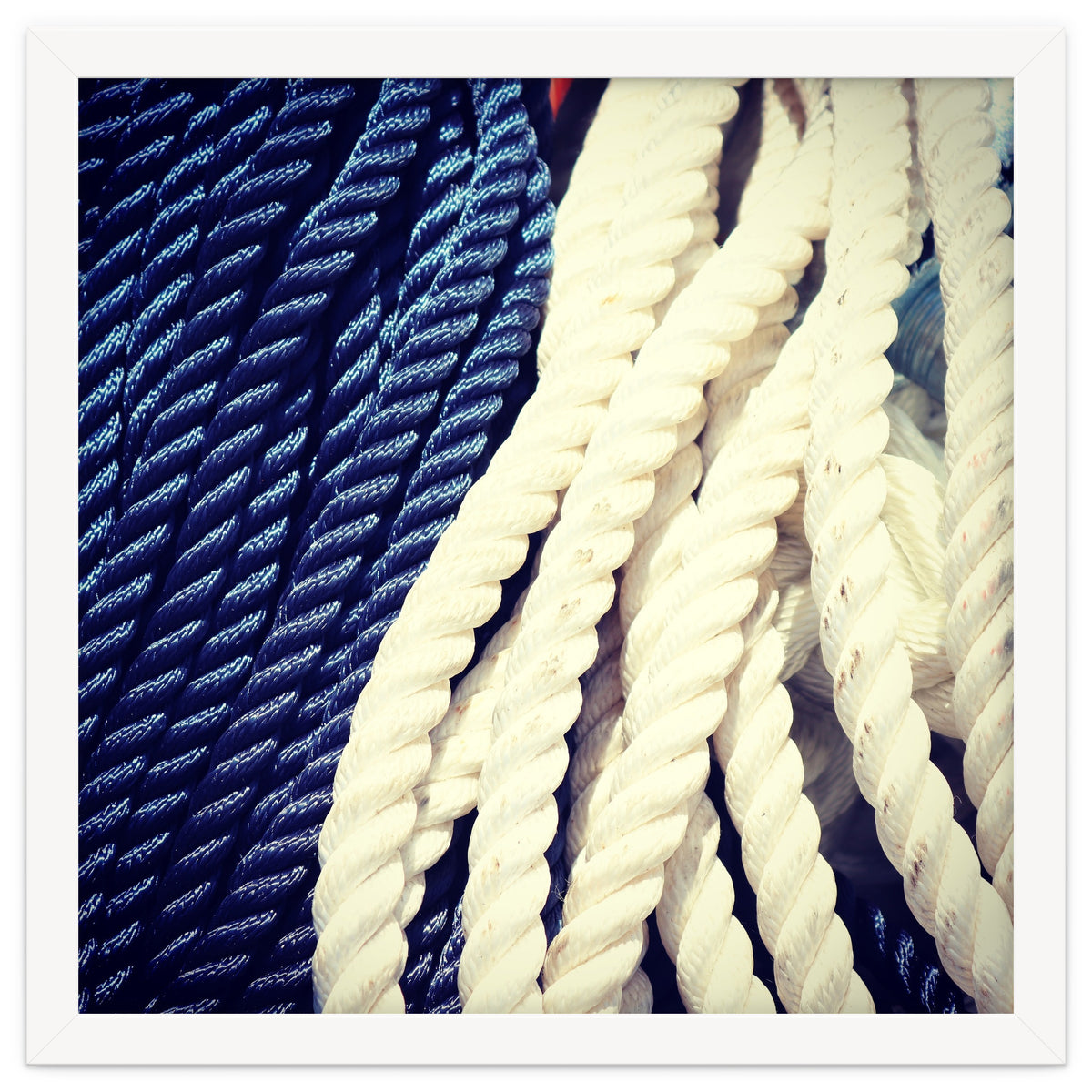 Blue and white fishing rope