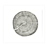 Rock Canyon, Tree Ring Print, Woodblock (Print Only) thumbnail