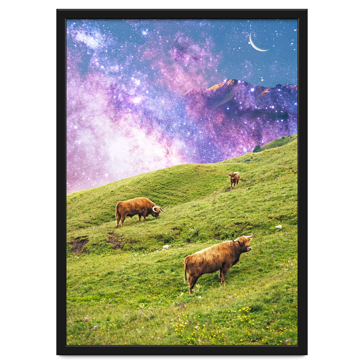 Space Cow Series II