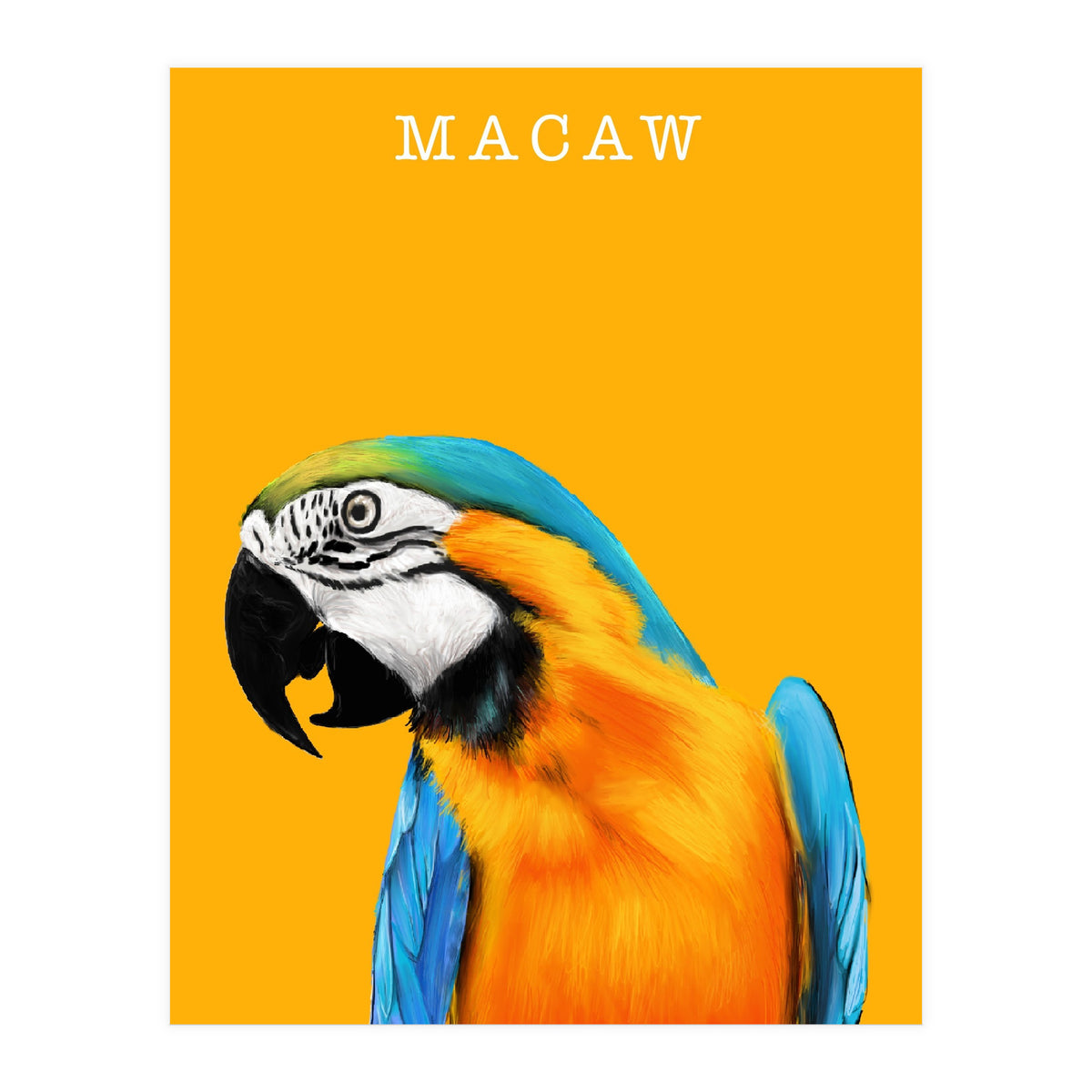 Macaw (Print Only)