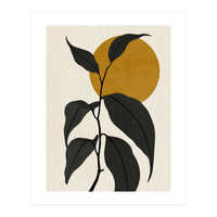 LEAF AND SUN - 03 (Print Only)