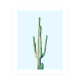 Loner Cactus (Print Only) thumbnail