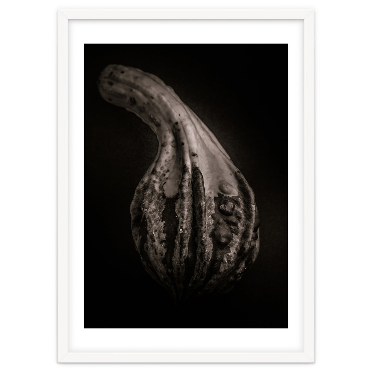 Gourds No 2