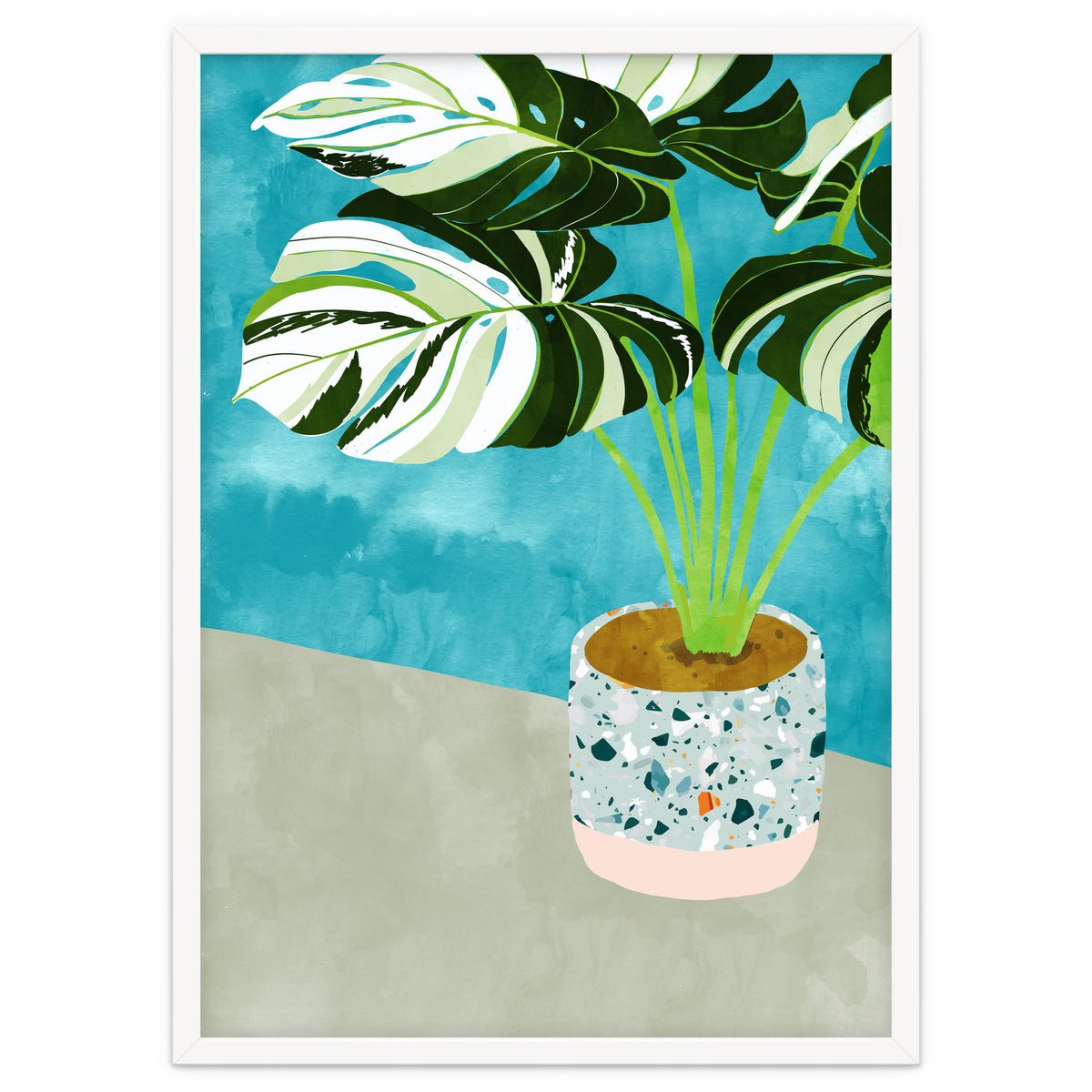 Variegated Monstera