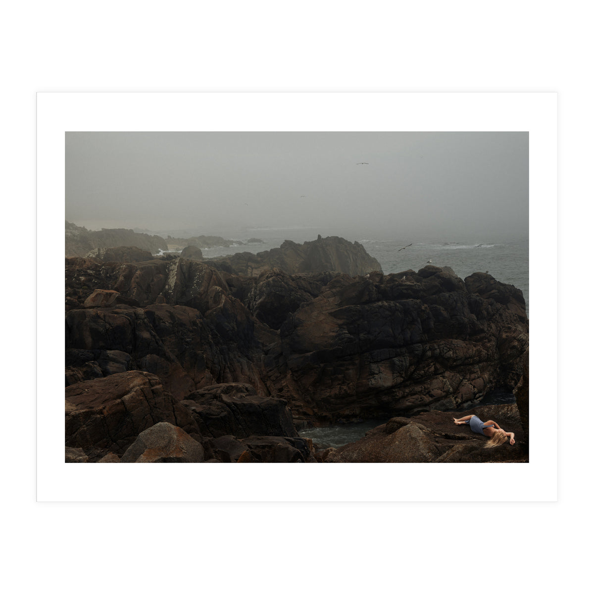 Seagull Bay (Print Only)