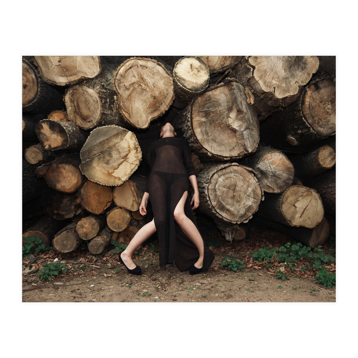 Slow Dancing Society (Print Only)