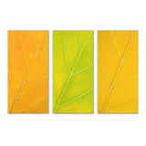 Autumn Leaves (Print Only) thumbnail
