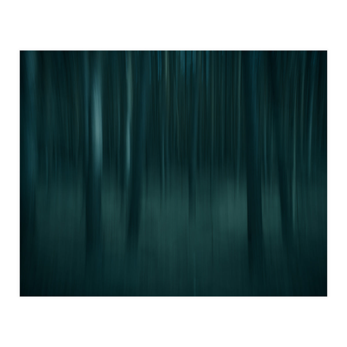 transience  (Print Only)