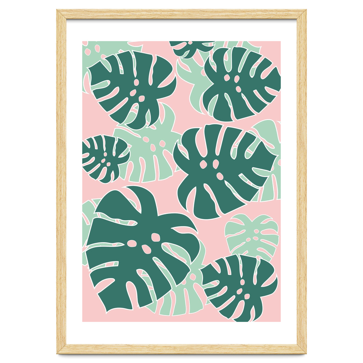 Monstera Tropical