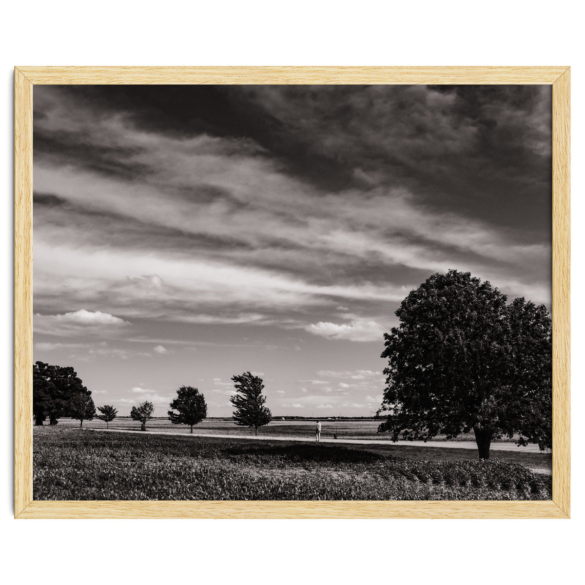 Country Road, Illinois