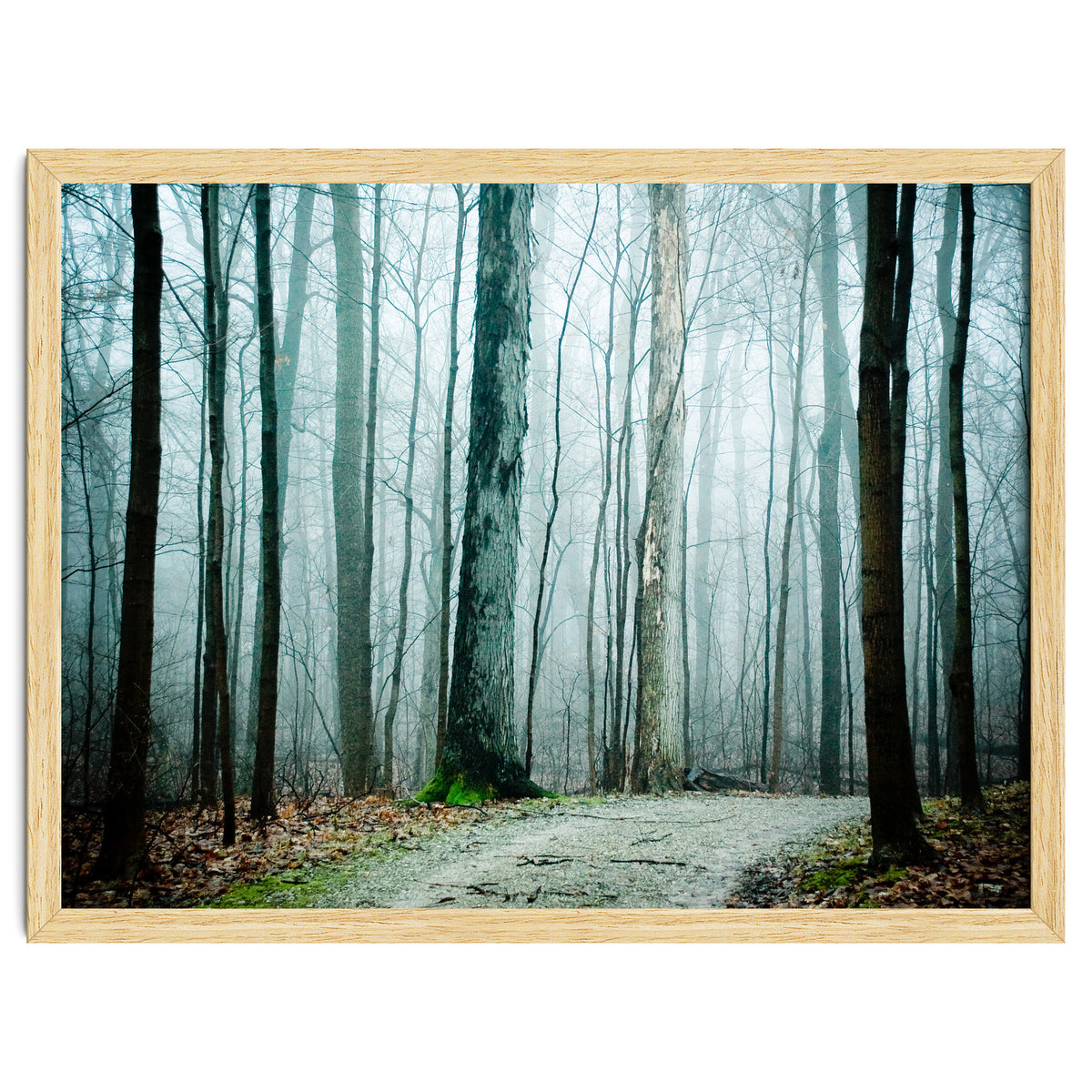 Gather Up Your Dreams