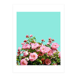 Blissful (Print Only) thumbnail