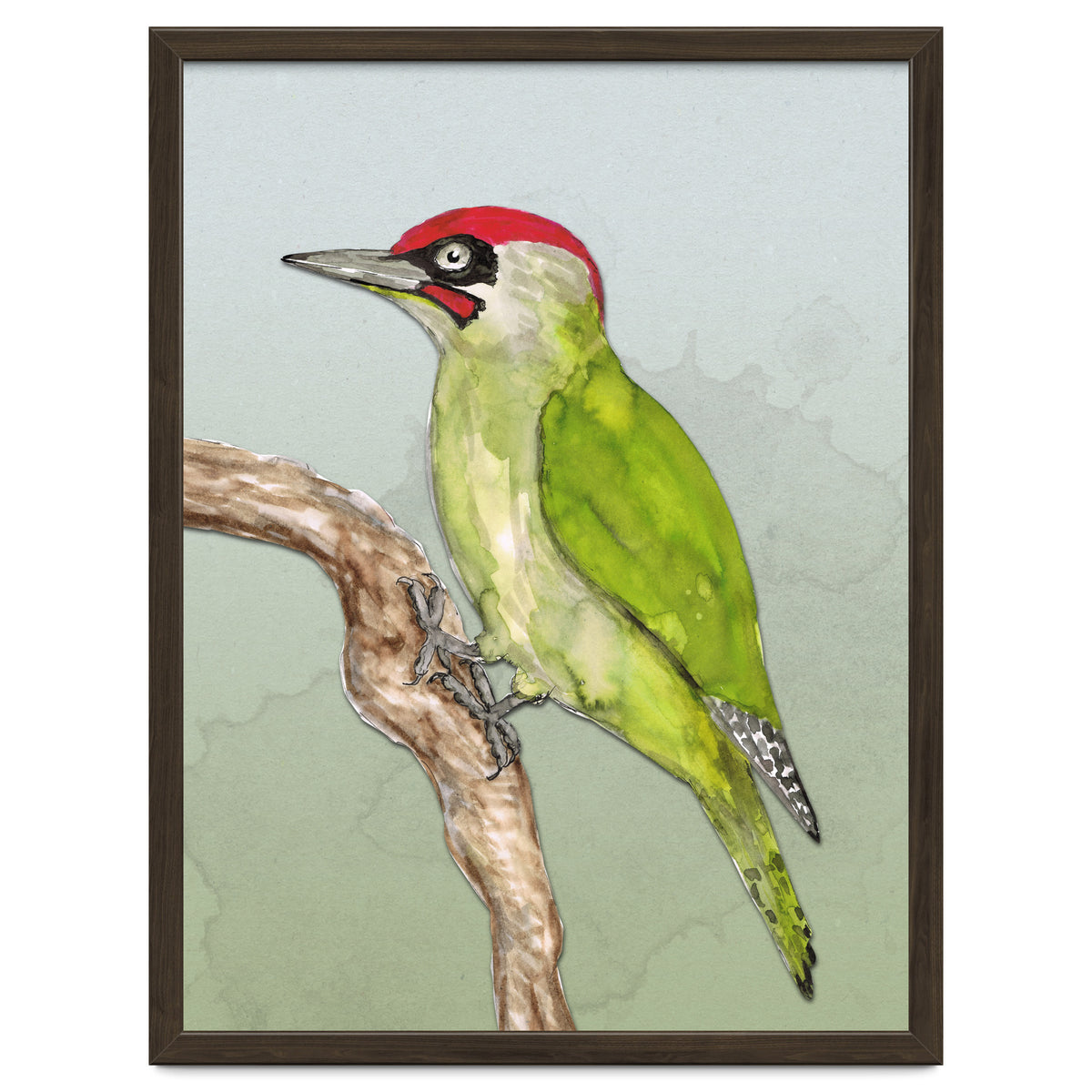 Green woodpecker
