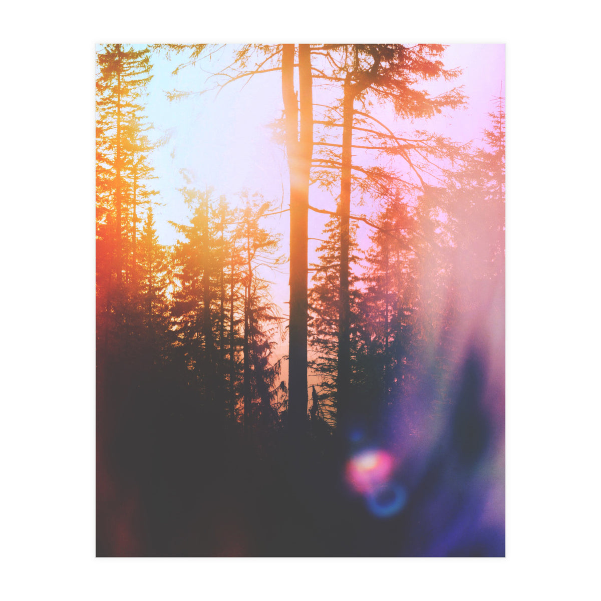 Finding Light (Print Only)