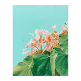 Carlie (Print Only) thumbnail