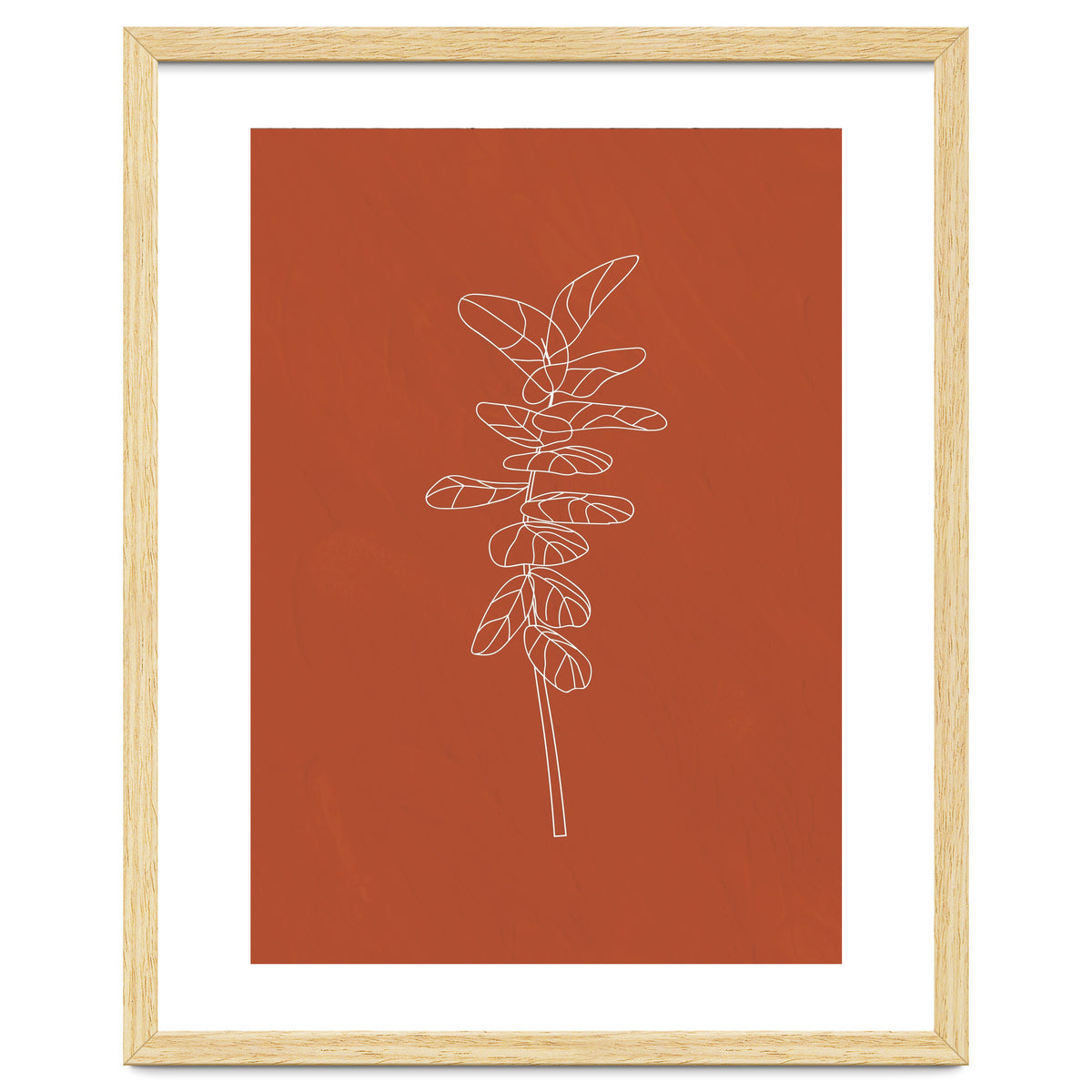 Line Art Botanical Terracotta
