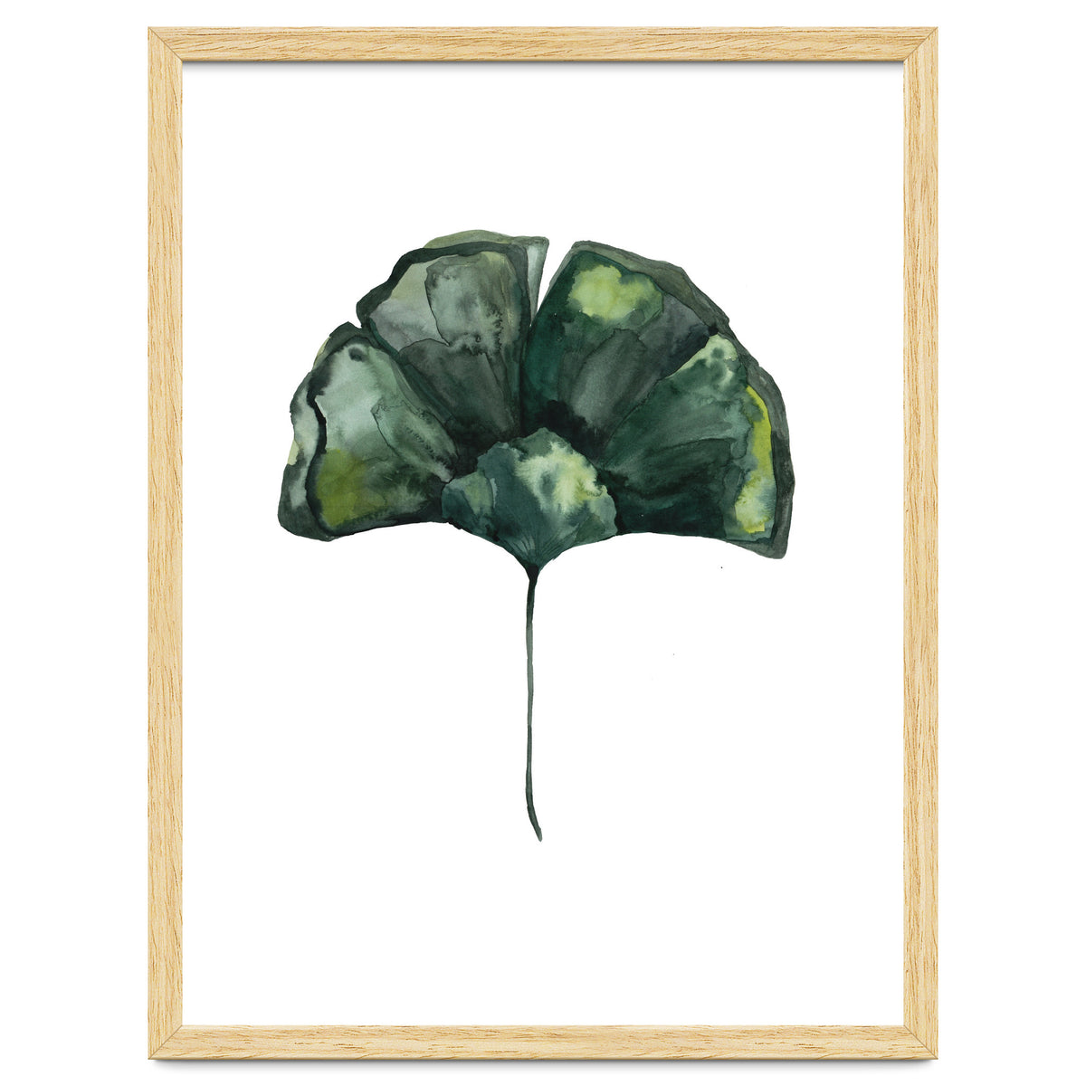 Botanical Illustration Ginko