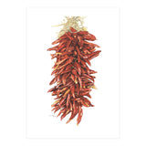 Chile Ristra (Print Only) thumbnail