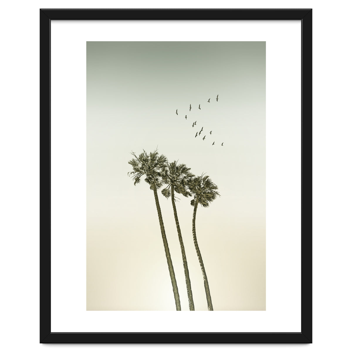 Vintage palm trees at sunset