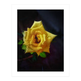 Yellow Flora (Print Only) thumbnail