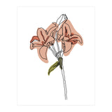 Lily (Print Only) thumbnail