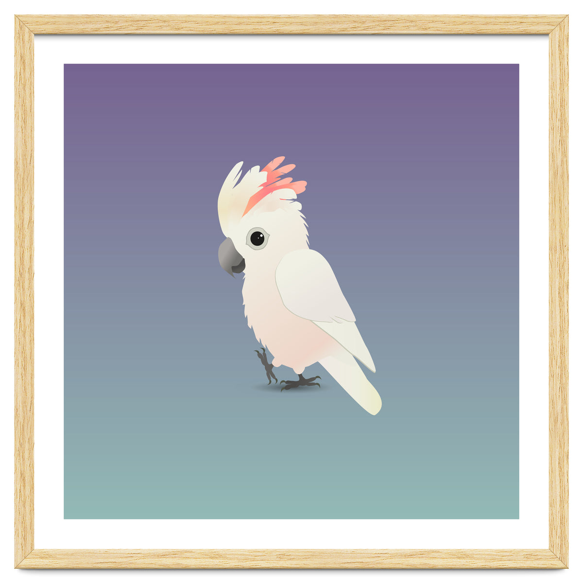 Salmon-crested cockatoo