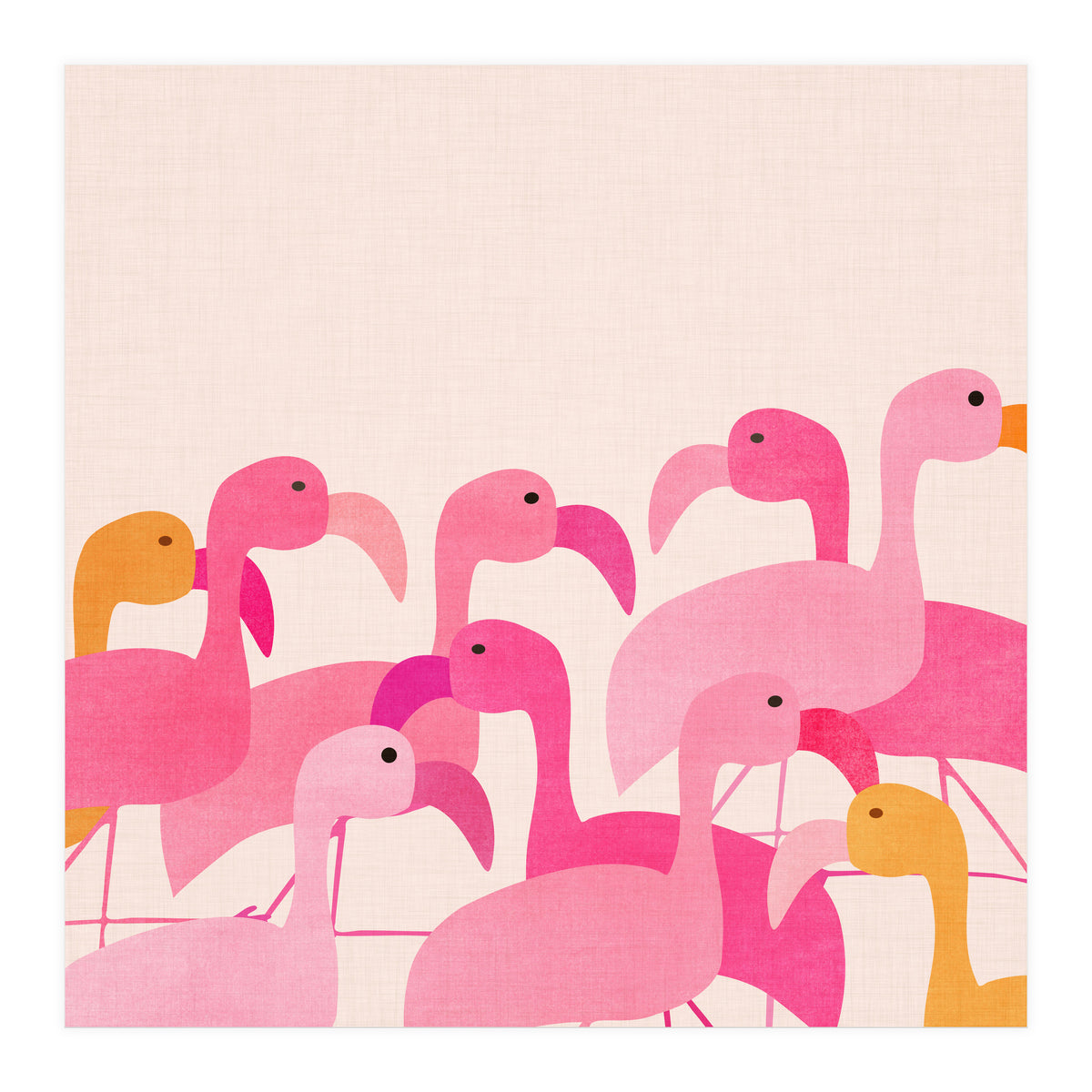 Florida Flamingos (Print Only)