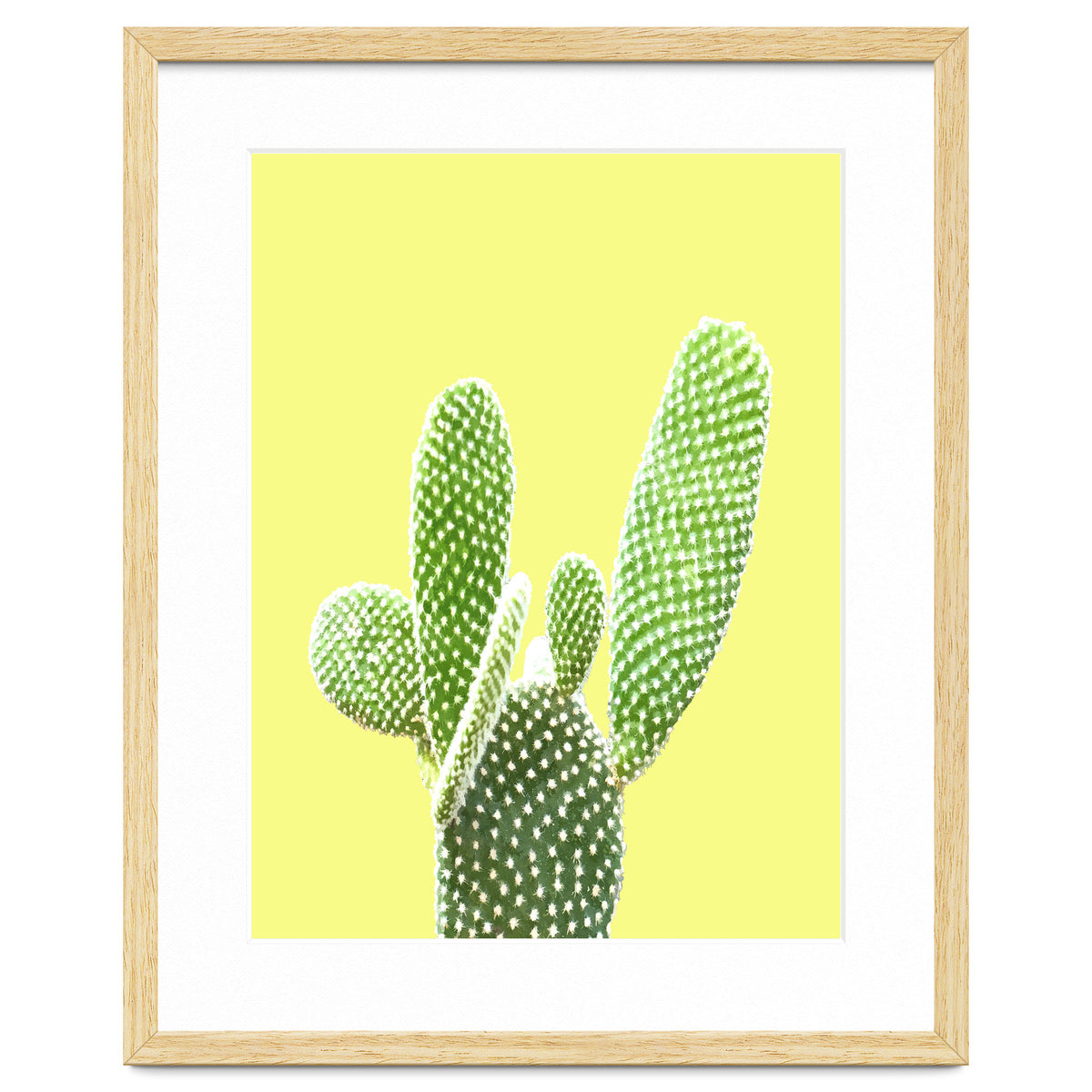 Cactus Yellow Background