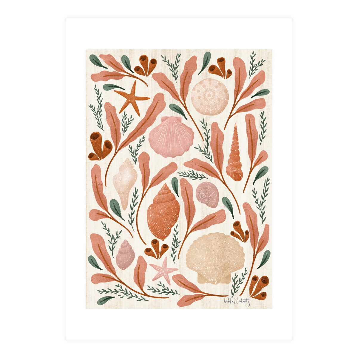 Shells Collection (Print Only)