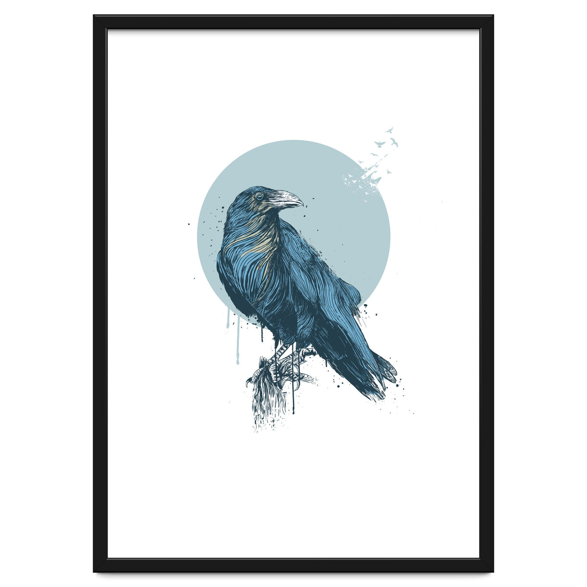 Blue Crow