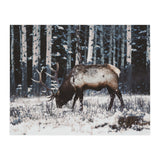 animal print (Print Only) thumbnail