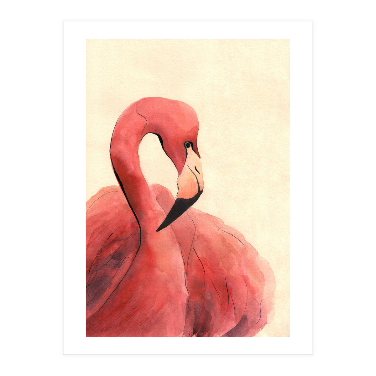 Flamingo (Print Only)