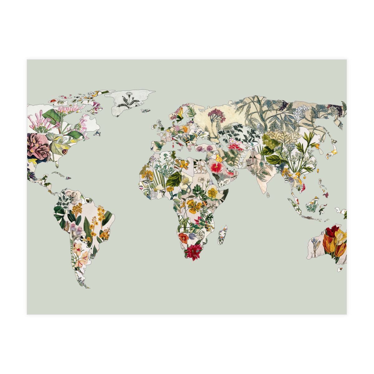 Vintage Botanical Map - Green (Print Only)
