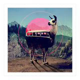 Llama (Print Only) thumbnail