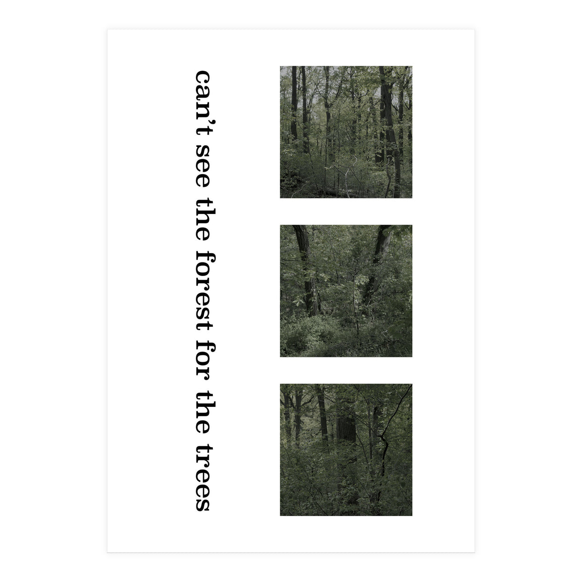 can’t see the forest for the trees (Print Only)