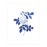 Blue Botanic II (Print Only) thumbnail
