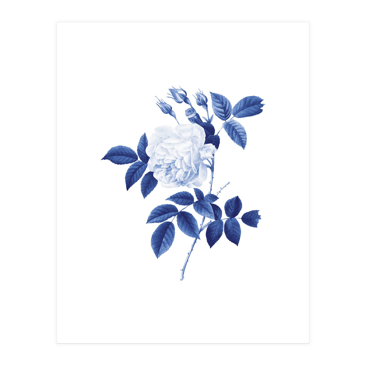 Blue Botanic II (Print Only)