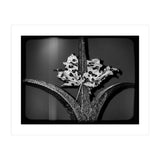 Womens Lib (Print Only) thumbnail