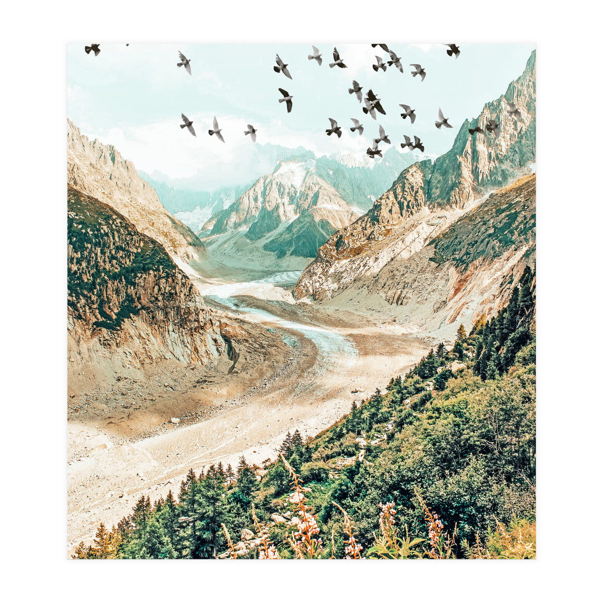 Apricity II (Print Only)