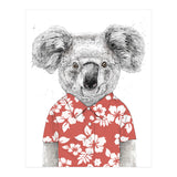 Summer Koala  (Print Only) thumbnail