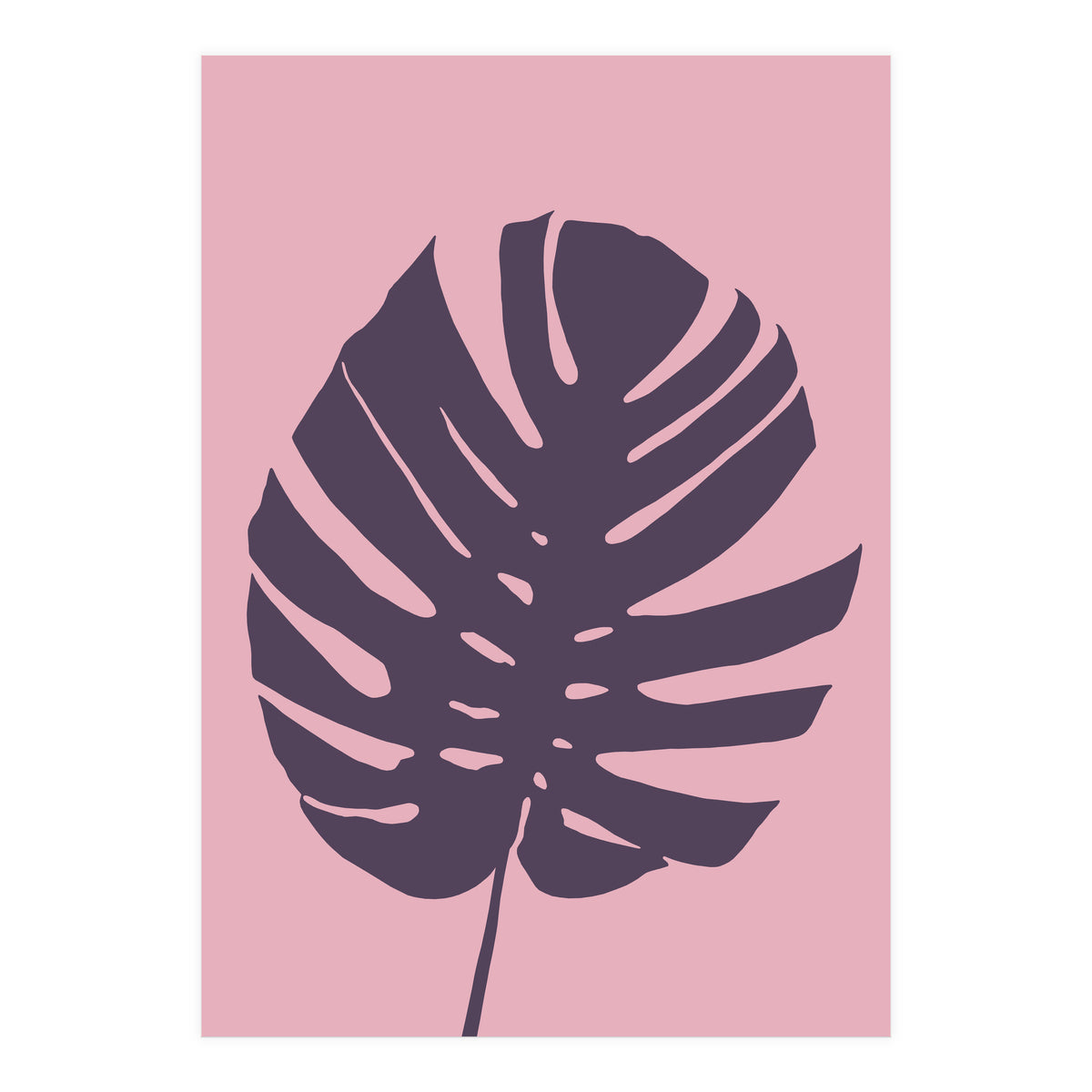 Monstera Deliciosa III (Print Only)