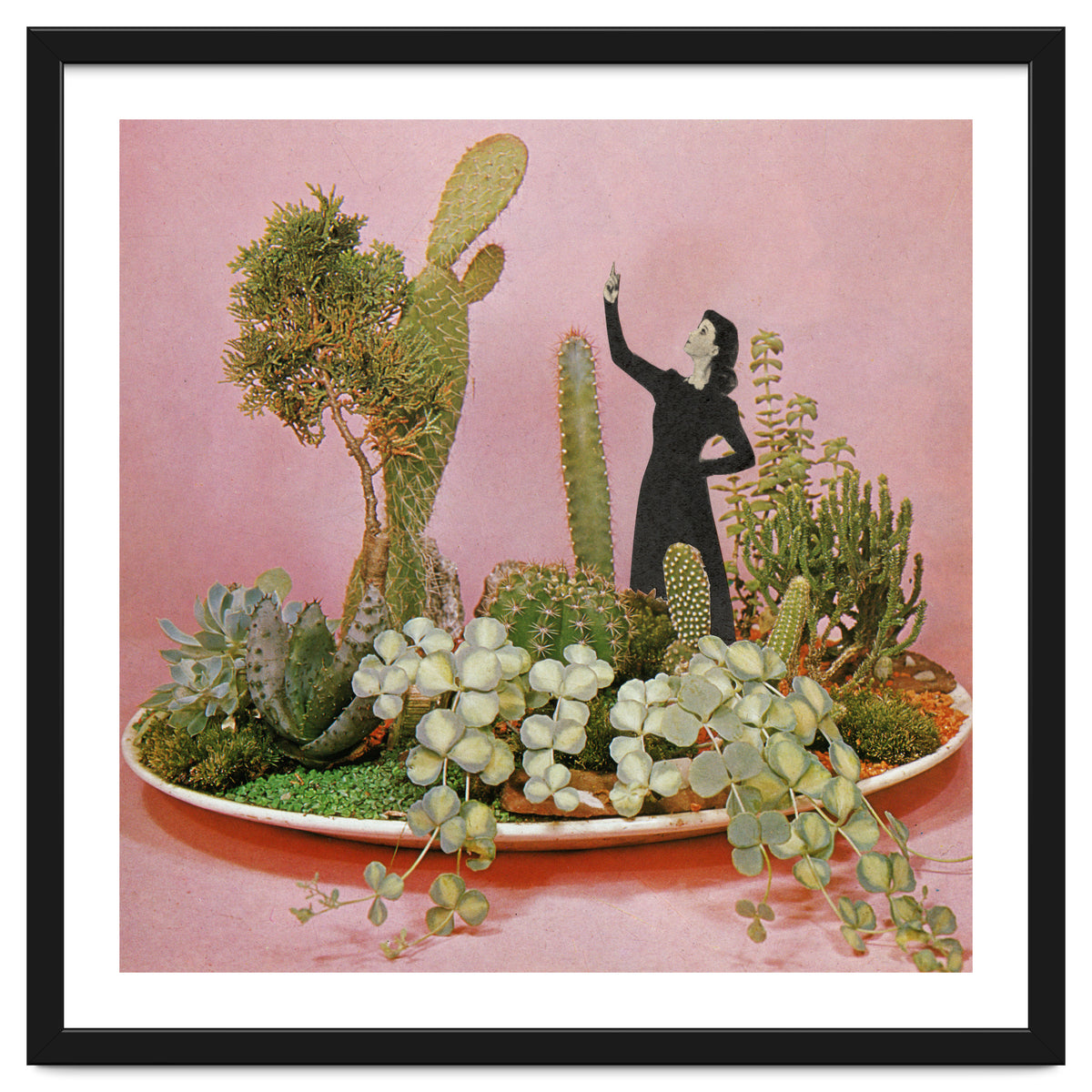 The Wonders Of Cactus Island