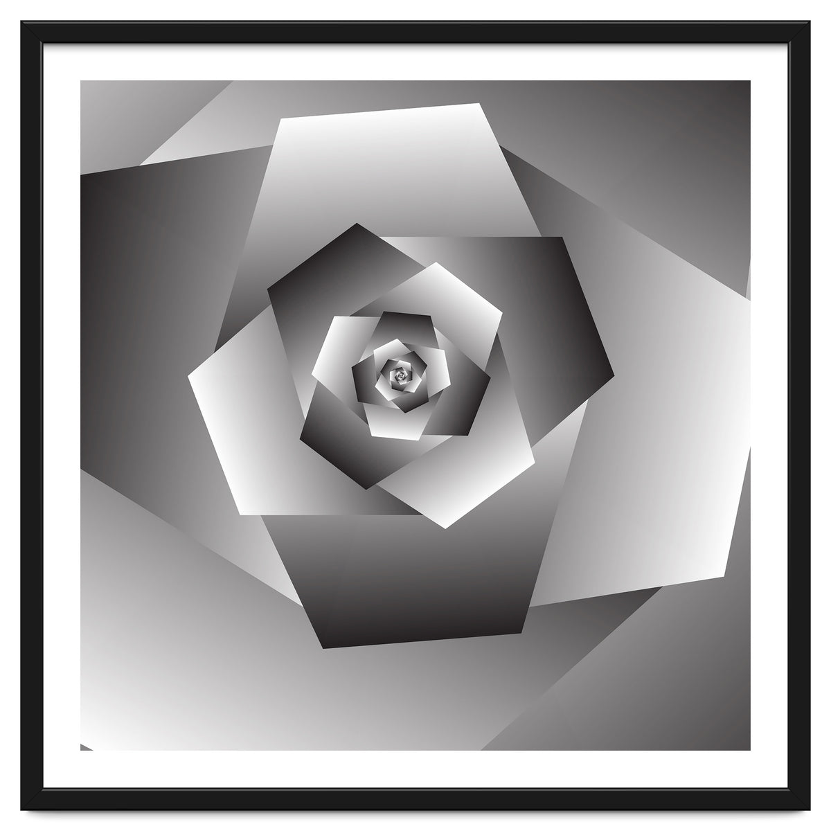 Monochrome Rose Spiral
