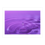Nature (Print Only) thumbnail