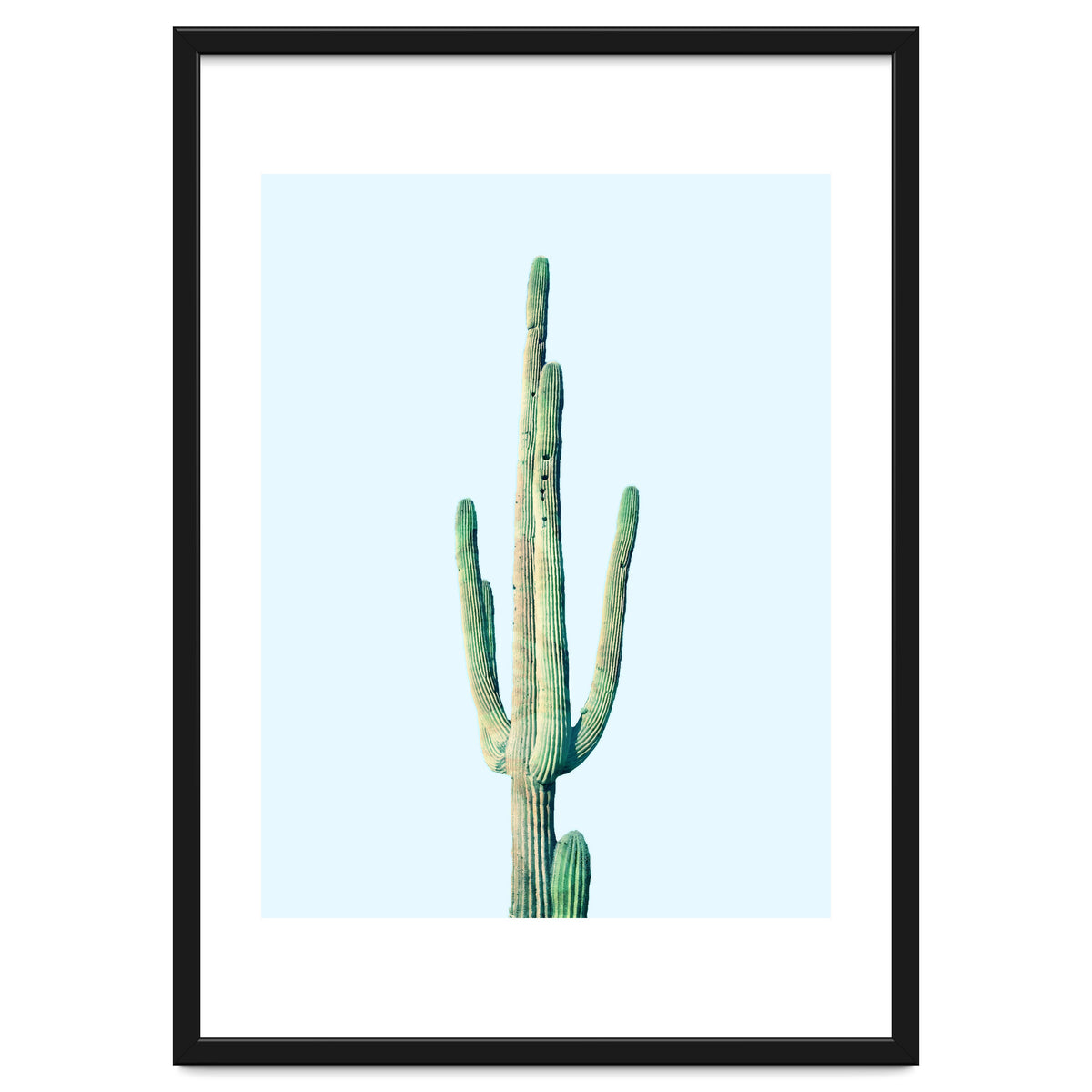 Loner Cactus